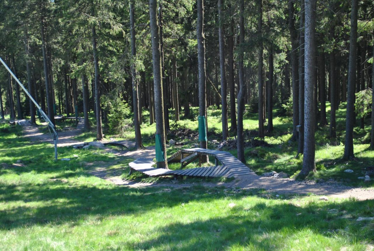 شقة Harz-Rose برونلاغ المظهر الخارجي الصورة