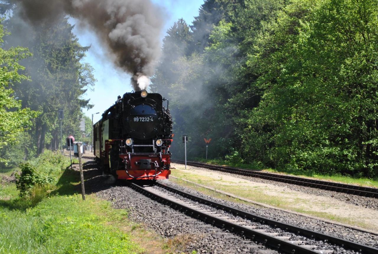 شقة Harz-Rose برونلاغ المظهر الخارجي الصورة